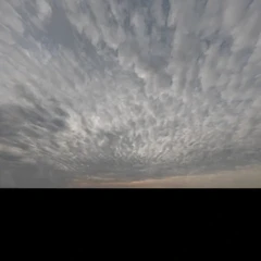Sky Dome test