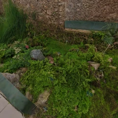 Greenhouse in Paris (Jardin des Plantes)