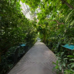 Greenshouse in Paris