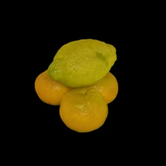 Citrus - Revopoint POP 4