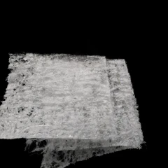 Toilet Paper (High Magnification)
