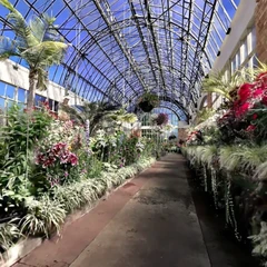 Auckland Domain east winter garden HQ
