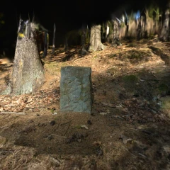 A sandstone boulder in the forest