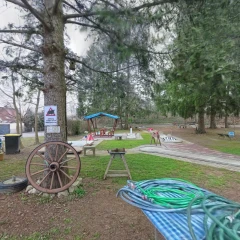 VID_20260303_144941_00_111_30000