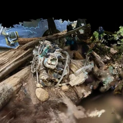 Plane engine