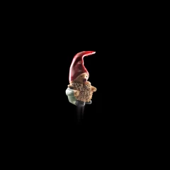 Gnom