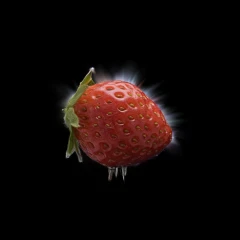 Strawberry with NGS