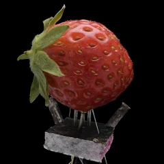 Strawberry with NGS