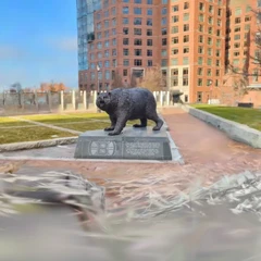 The Bear