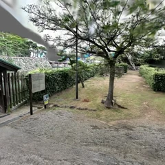 人バージョン