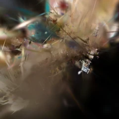 fungi-sharp