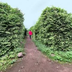 Masha & Timur in The Garden Maze 
