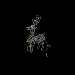 Deer V03