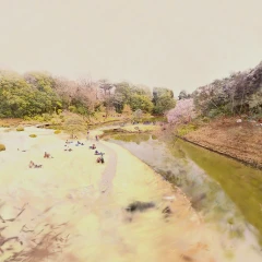 SAKURA-Shinjukugyoen2026