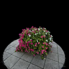 Big Flower pot MK
