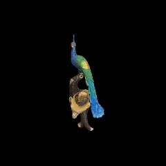 Peafowl