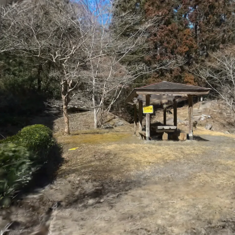 Mountain, Kanagawa, Japan