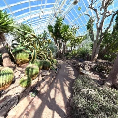 The Cactus Garden (Fisheye SFM Workflow)