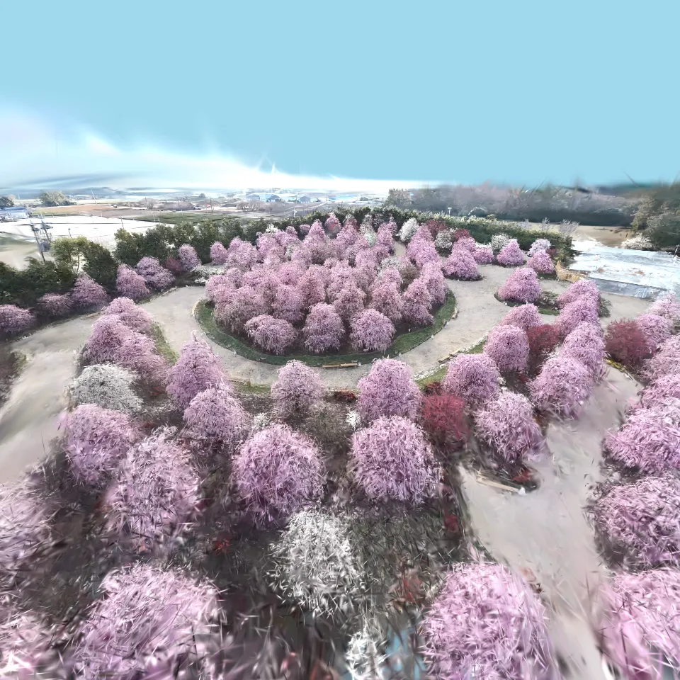 しだれ梅 鈴鹿の森庭園（三重県鈴鹿市）/  Weeping Plum Trees at Suzuka Forest Garden (Mie Prefecture, Suzuka City)