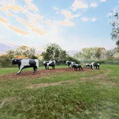 Concrete Cows New