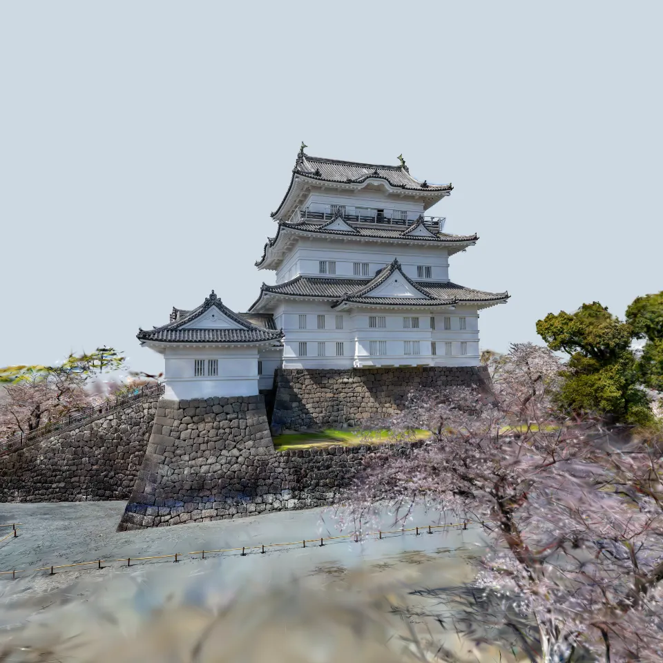 小田原城の桜(Cherry blossoms at Odawara Castle)