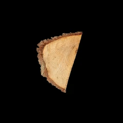 Wood offcut