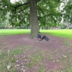 Masha & The Tree