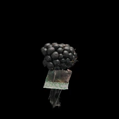 Blackberry (Mesh initialized)