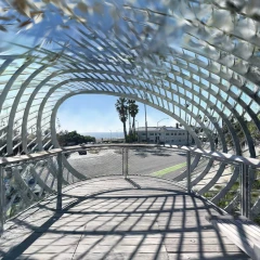 Overlook @ Tongva Park - Santa Monica, CA