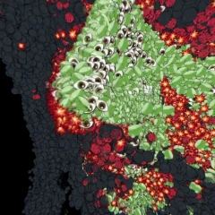 🐸💥👁️ —  Emojified Splat -- LAB