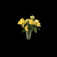 Yellow Roses