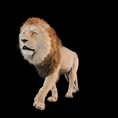 3DGS Lion King