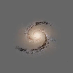 Galaxy