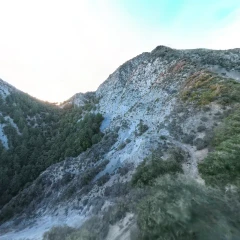 Mueller Tunnel Scan