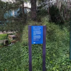 EF-Berlin-Wall