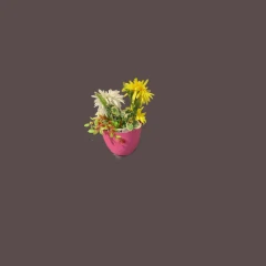 flower test 001