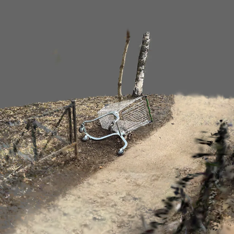 [edit] Abandoned Shopping Cart V1