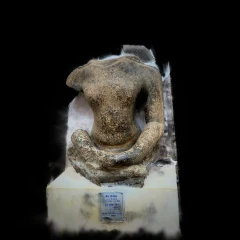 Jaina Tirthankara_Bidar Fort