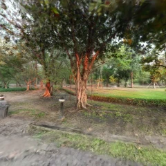 Park in Bangkok, Thailand
