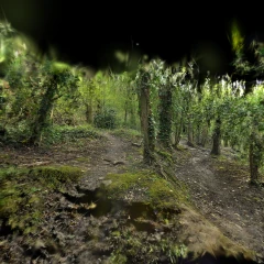 tree scene 3