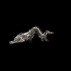 SpatialDragon