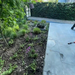 Voortuin_01