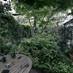 Back garden AS 260424