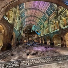 London Museum of Natural History