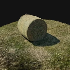 Gastronomy of the Field