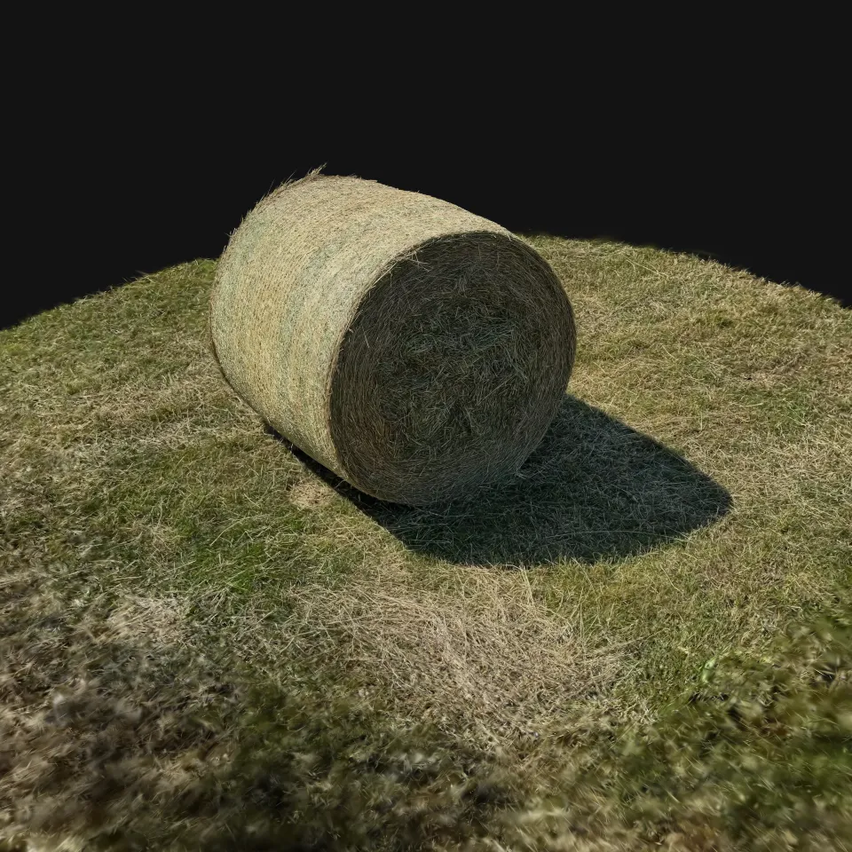 Gastronomy of the Field