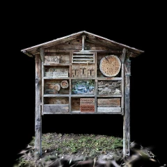 Insect hotel