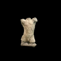 Rodin Torso