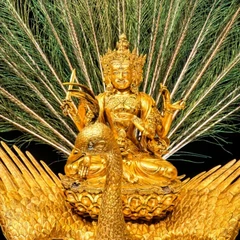 Peacock King of Wisdom