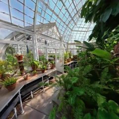 The Greenhouse (improved workflow)